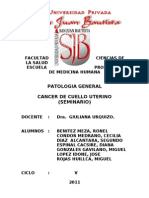 Cáncer de cuello uterino: factores de riesgo y prevención