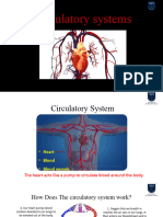 Circulatory Systems