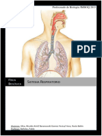 TP Respiración Física 2015 Completo