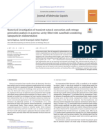 Numerical Investigation of Transient Natural Convection and Entropy