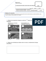 Prueba de Diagnostico Ciencias Naturales 3º 2024