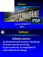 Epilepsy 2017 Text