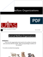 Animal Welfare Organizations