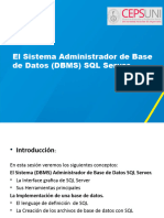 El DBMS y La Implementacion de Una BD