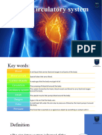 The Circulatory System