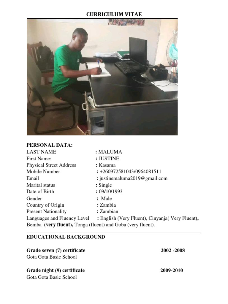 Curriculum Vitae PDF Zambia Fluency