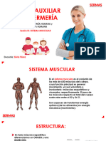 Clase 3  - Sistema Muscular