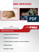 Aula 05- Anatomia Do Sistema Nervoso (Prof. Me. Felipe Artur) ALUNOS