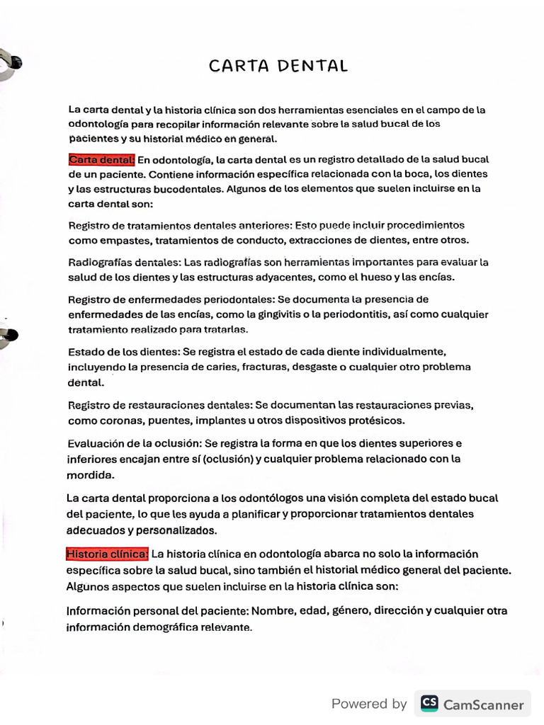 FELTRO ASSORBENTE STANDARD - Lightstone - Foto 10