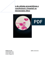 Tomás Maranhão Nicolau 10CT1 - Observação de Células Procarióticas e Eucarióticas (Animal e Vegetal) Ao Microscópio Ótico