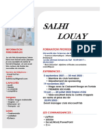 PDF CV en Français