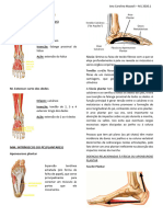 Musculos Pe