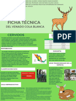 Ficha Técnica Venado Cola Blanca