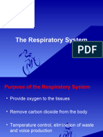 Respiration System