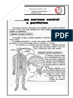 Ativ  ciencias 5 ano 01 04