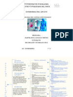 Patologias Del Sistema Inmunologico