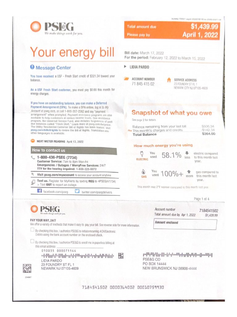 PSEG PDF