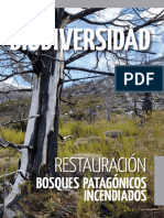 Revista Biodiversidad 15 Restauración Bosques Patagónicos