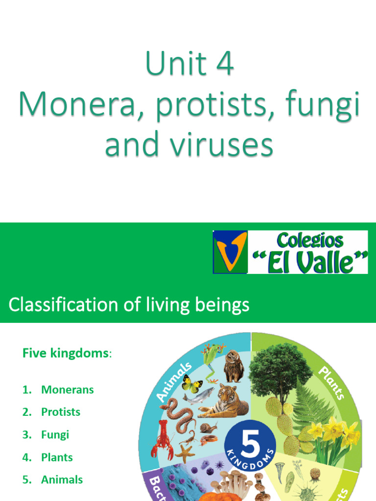 Unit 4 - Monera, Protists, Fungi and Viruses - Students | PDF | Protozoa |  Fungus