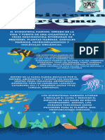Infografía Datos Sobre El Mar Ilustrada Azul
