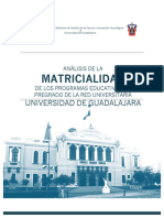 Analisis de La Matricialidad de Los Pe-2015