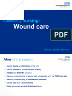 Community Nursing Wound Care Presentation (1)