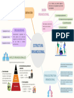 Estructura Organizacional