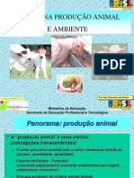 Aula 4 - GESTÃO NA PRODUÇÃO ANIMAL E AMBIENTE