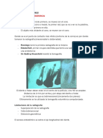 Clase #3 - Radiografia en Endodoncia LENIN