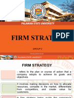 Firm Strategy