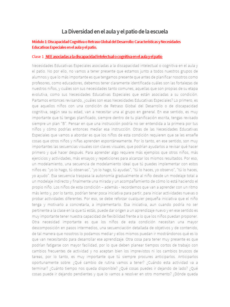 Necesidades Educativas Especiales en Aula | PDF | Aprendizaje ...