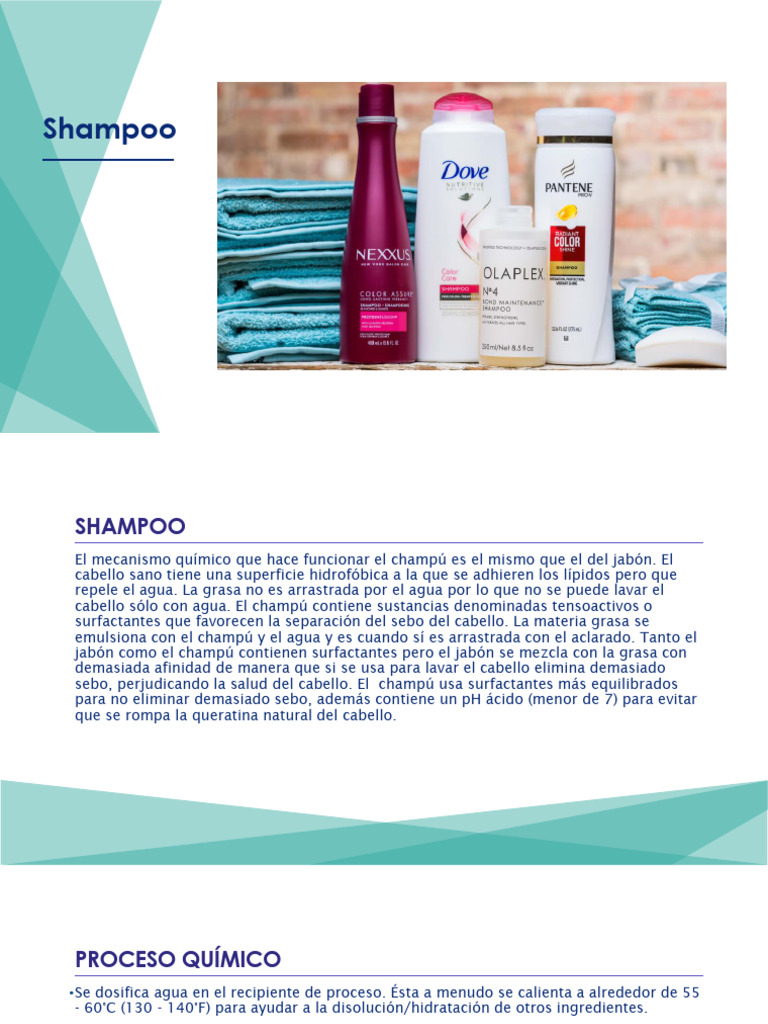 Champú Control Graso: Beneficios y Composición | PDF | Champú ...