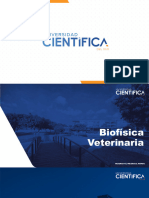 Biofisica Veterinaria - Sem-2 - Sesion-4 - 2024-1