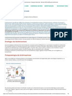 Leishmaniose - Doenças Infecciosas - Manuais MSD Edição para Profissionais