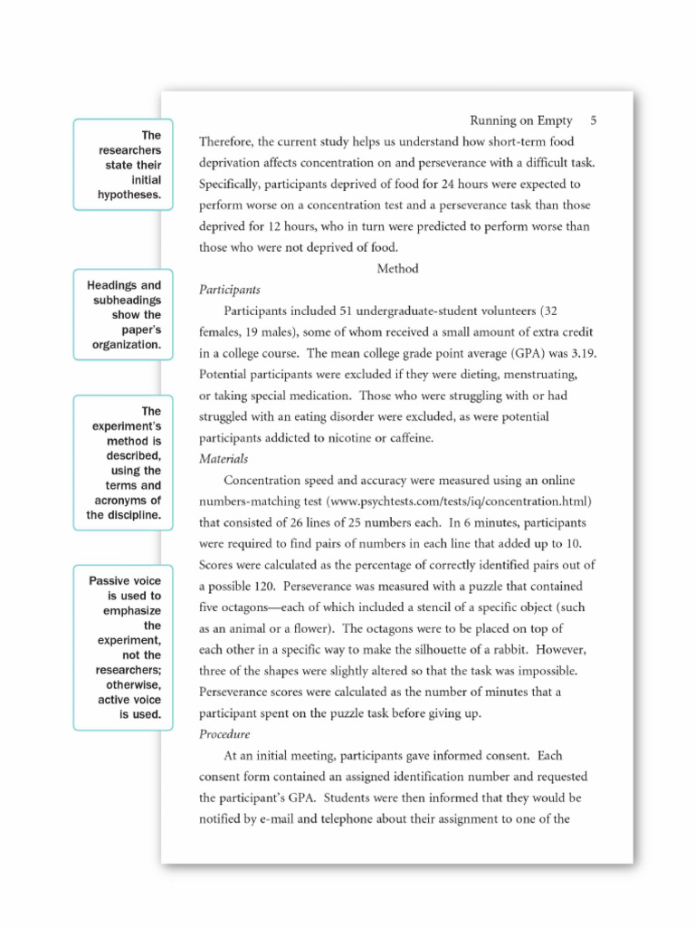 Apa Research Paper Format Example We Do Assignment 5 | PDF
