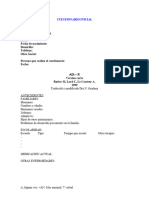 ADI-R Tabla Corto RESUMEN DE PROTOCOLO