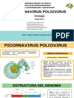 Grupo 2 - PICORNAVIRUS Poliovirus