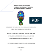 Monografia Plan de Accion PDF