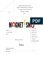 Ante - Proyecto de Magnetismo