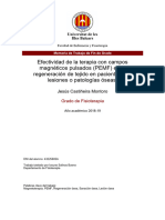 Efectividad de Terapia Con Campos Magnéticos Pulsados en Regeneración de Tejido Con Lesiones o Patologías Óseas