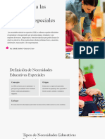 Introduccion A Las Necesidades Educativas Especiales