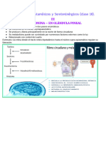 Fármacos Antihistamínicos y Serotoninérgicos III