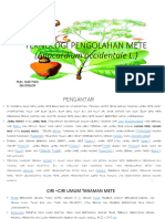 Teknologi Pengolahan Mete