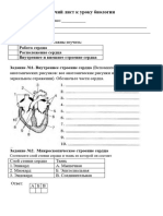 Рабочий лист к уроку биологии по теме - - Сердце - (8 класс)