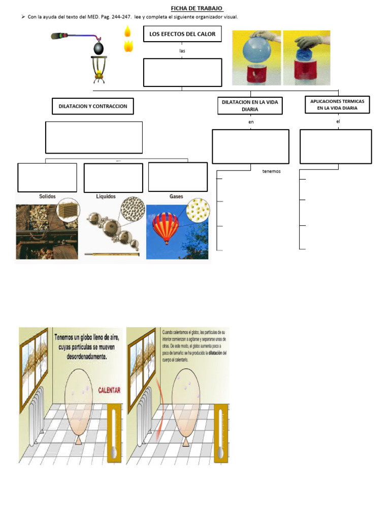 Dilatacion De Los Cuerpos Pdf