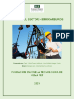 Riegos - Del - Sector - Hidrocarburos 2
