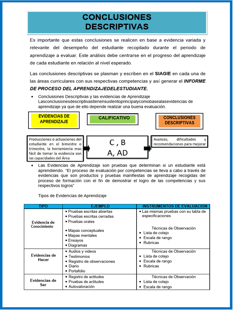 Conclusiones Descriptivas Primaria 2024 | PDF | Evaluación ...