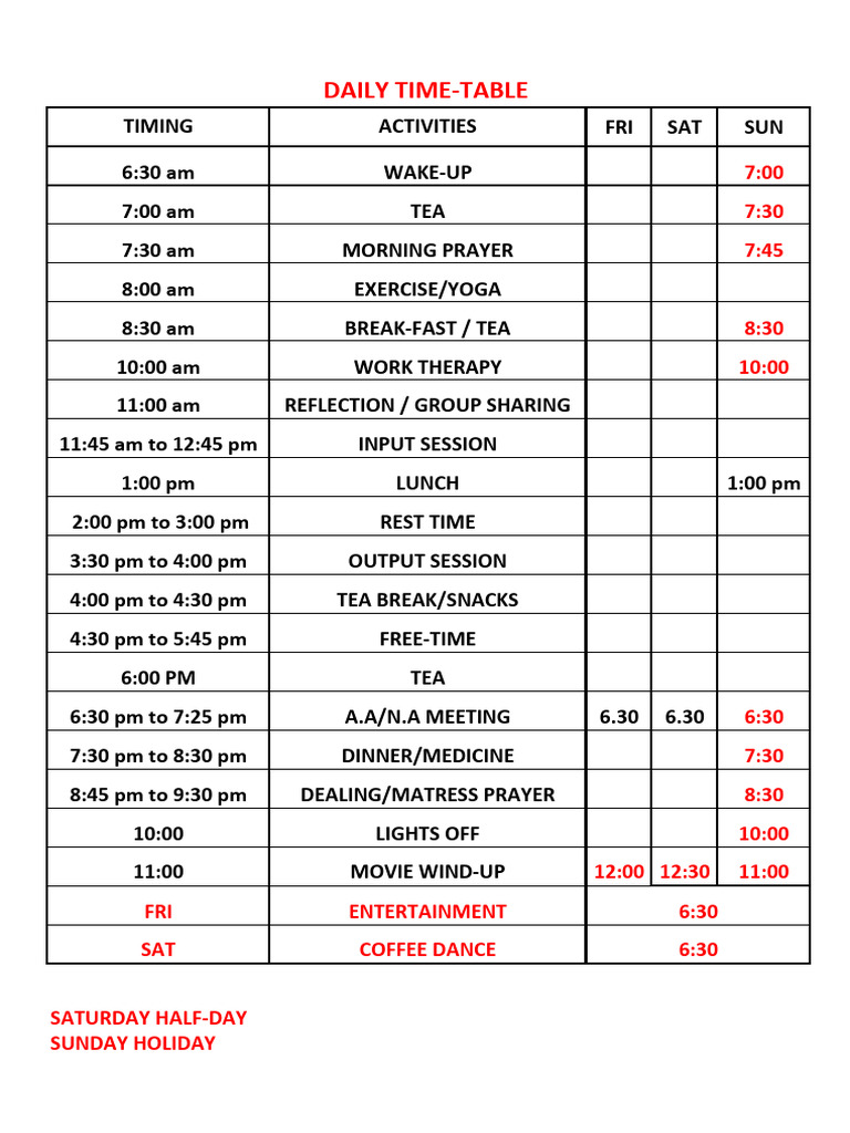 Daily Activity Schedule | PDF