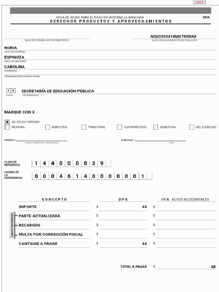 Pago de Caro | PDF