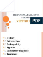4 Treponema Pallidum